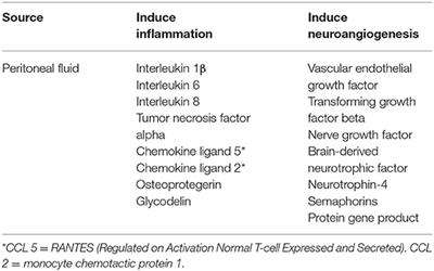 Peripheral, Central, and Cross Sensitization in Endometriosis-Associated Pain and Comorbid Pain Syndromes